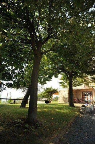 Villa Il Casale Di Mario Montecchio  Exterior foto